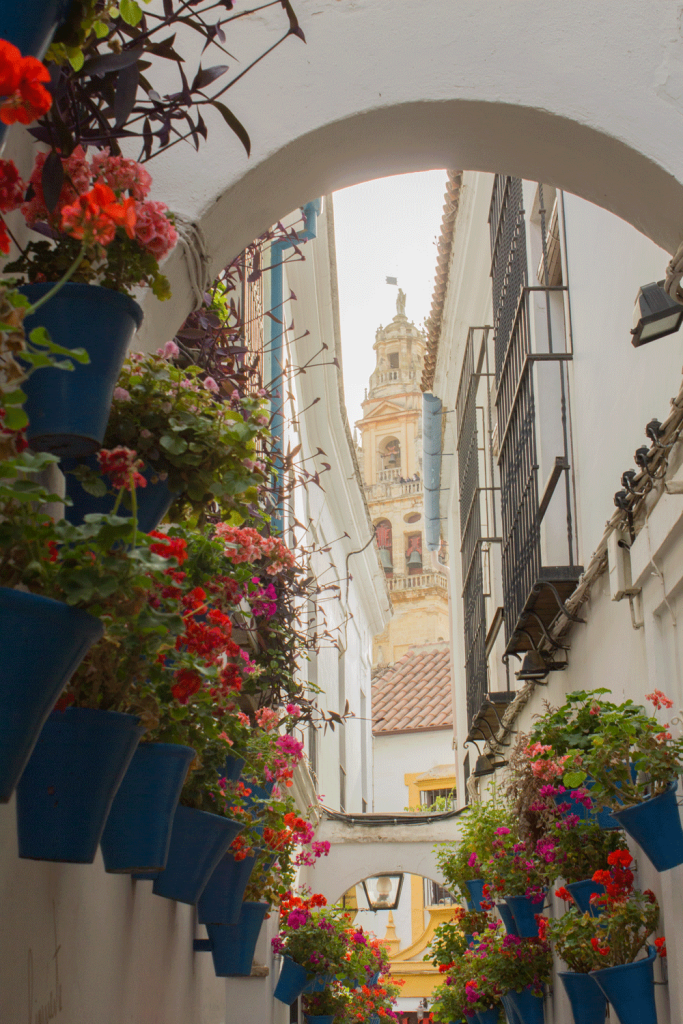 que hacer en Córdoba: ver la Calleja de las Flores